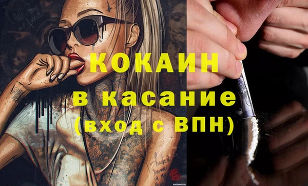 крисы Верхний Тагил