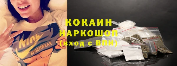 крисы Верхний Тагил