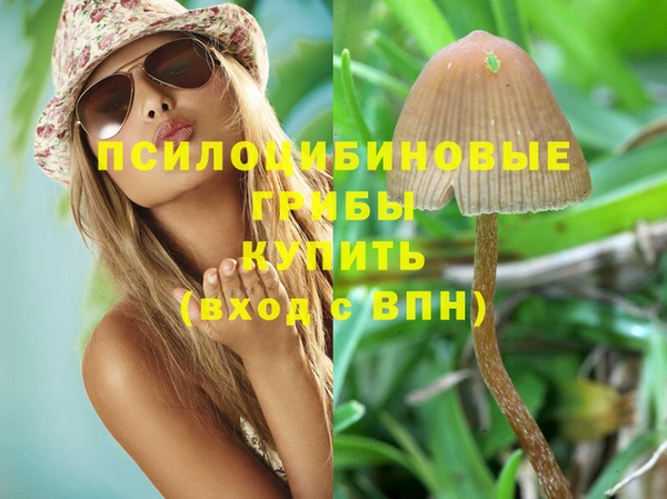 2c-b Волосово