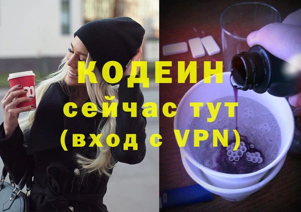 крисы Верхний Тагил