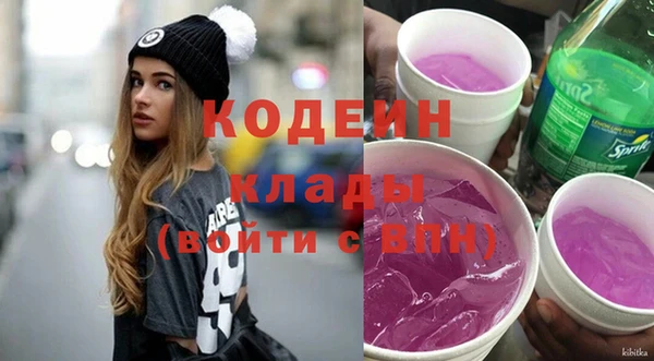 крисы Верхний Тагил