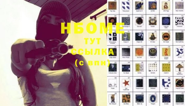 крисы Верхний Тагил
