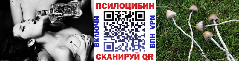 где продают наркотики  Смоленск  Галлюциногенные грибы мухоморы 